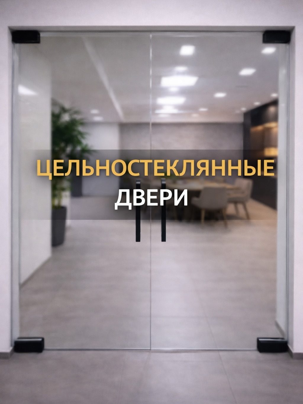 Стеклянные двери